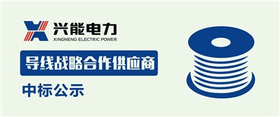 中標(biāo)公示丨興能電力導(dǎo)線戰(zhàn)略合作商中標(biāo)公示