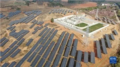 光伏板下春耕忙！興能電力讓陽光"種"出雙份收益